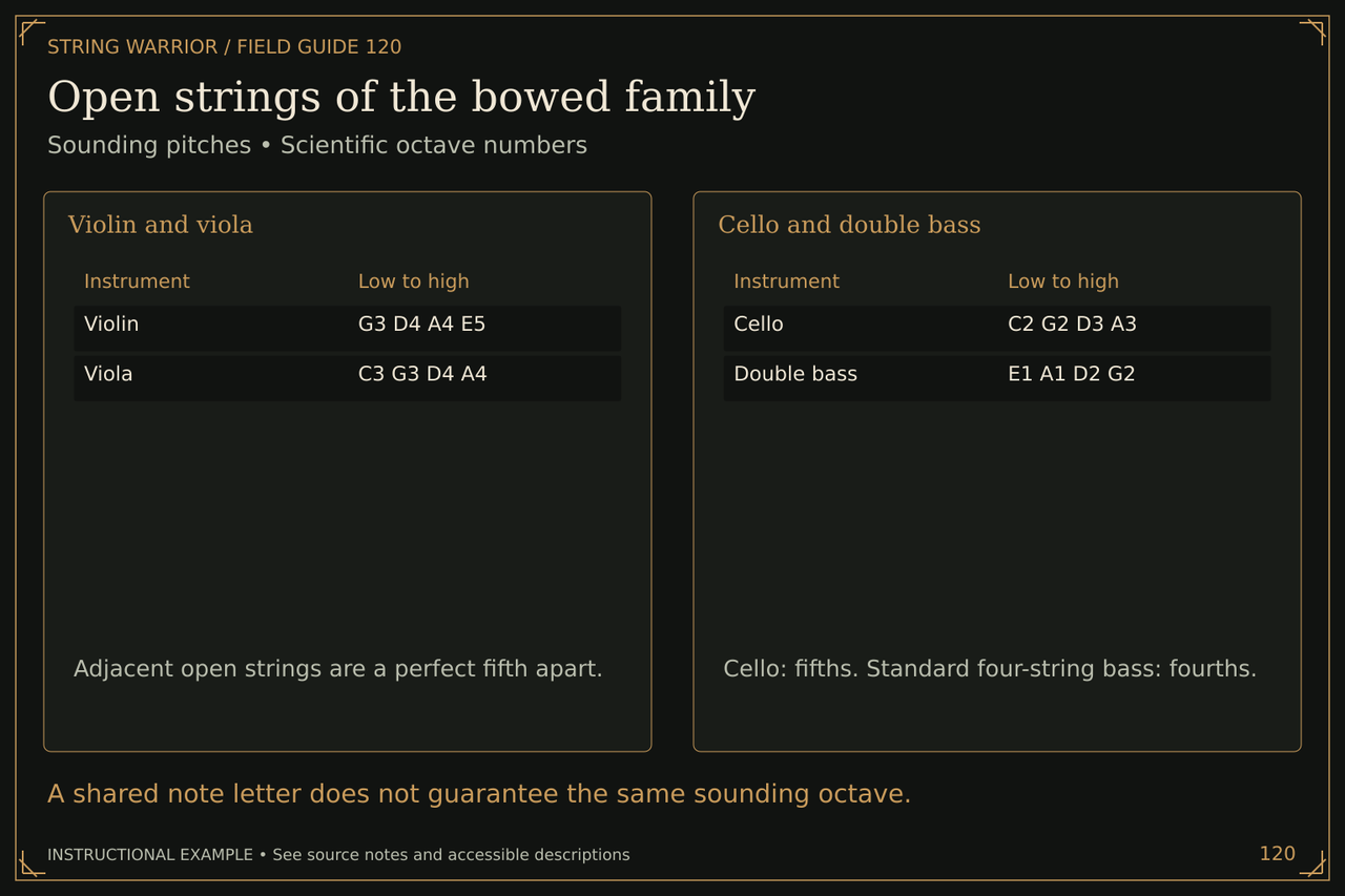 Open strings of the bowed family. Sounding pitches • Scientific octave numbers. A shared note letter does not guarantee the same sounding octave.